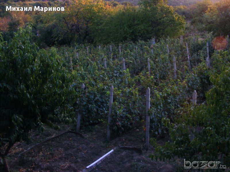 Villa for Sale in Ruse, v.z. Sredna kula