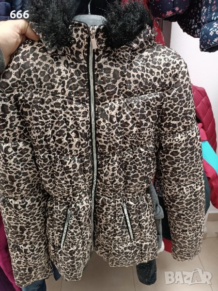 яке, снимка 1