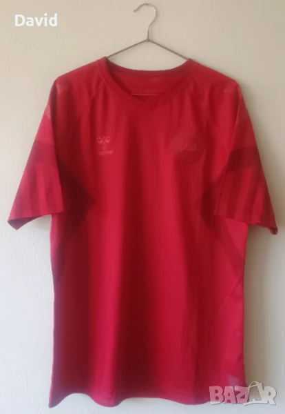 Оригинална фланелка на Дания 22/23, снимка 1