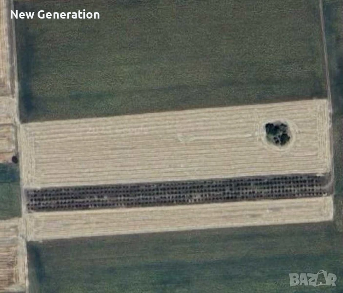 Продавам овощна градина - Кайсии - 10 декара , Кат 3-та - с.Чернолик, снимка 1