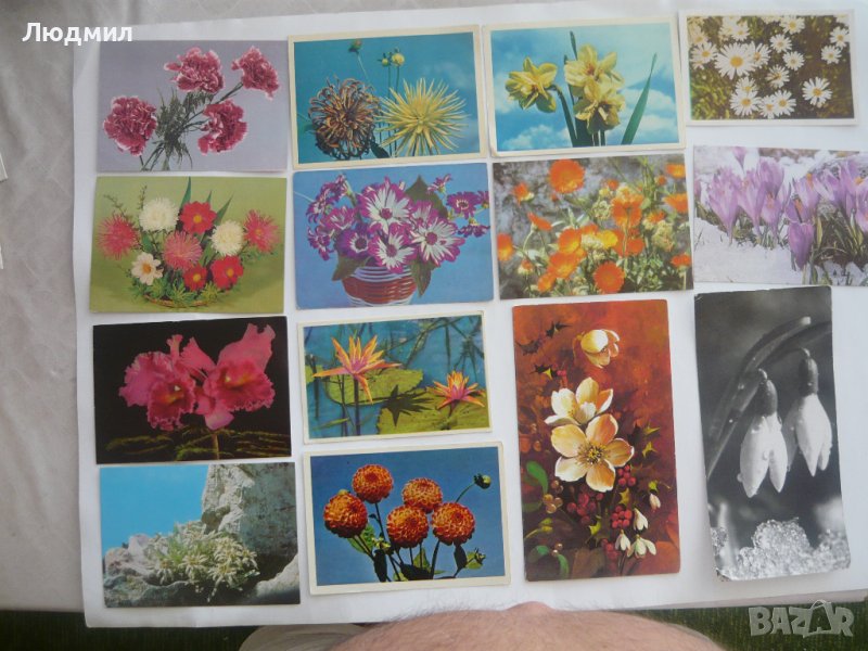 Пощенски картички с цветя и животни., снимка 1