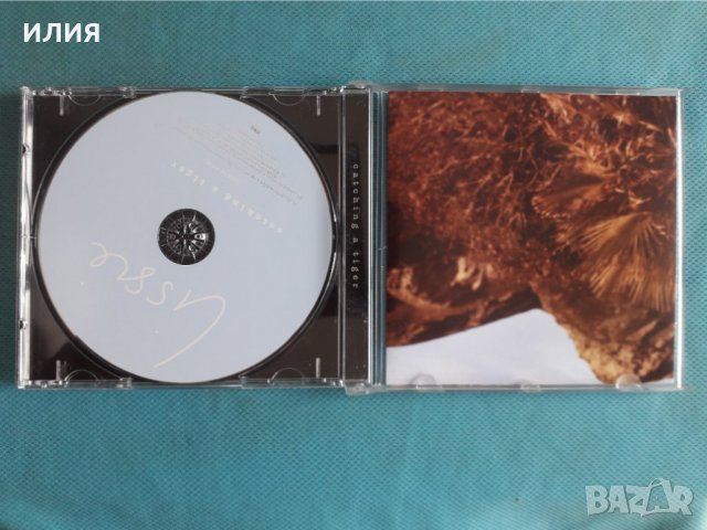 Lissie – 2010 - Catching A Tiger(Blues Rock,Pop Rock,Folk,Vocal), снимка 2 - CD дискове - 37934389