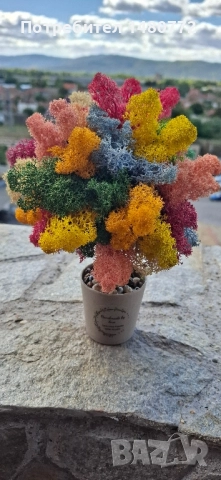 Дърво със скандинавски мъх , снимка 6 - Други - 47986457