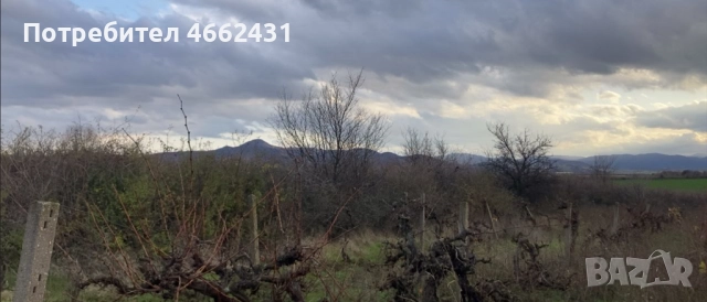  Парцел 2320 м2 - отличен за лозе/градина/пчелин, до път Дебър–Брягово, снимка 2 - Парцели - 52562178