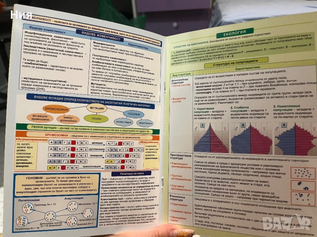 Помагалник по Биология- Домино, снимка 2 - Учебници, учебни тетрадки - 51598674