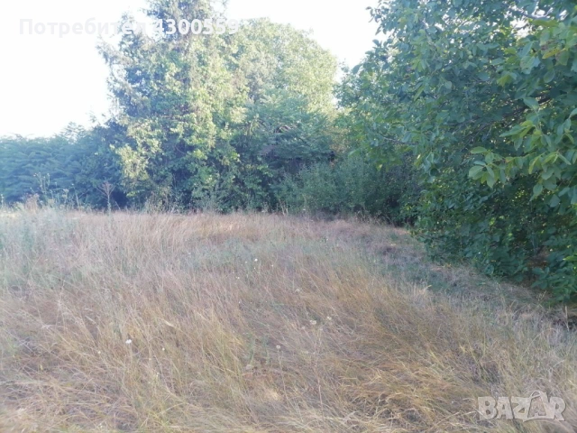 Почистване на изоставени и запустели имоти, снимка 5 - Други услуги - 52468878