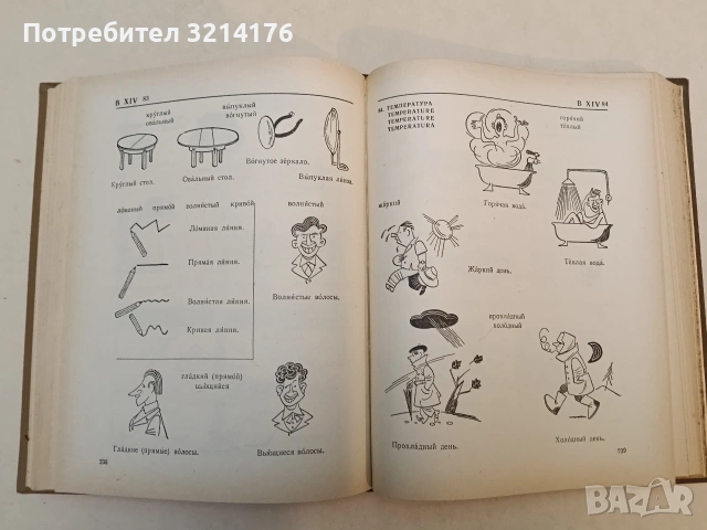 Картинный словарь русского языка - Ю. В. Ванников, А. Н. Щукин (1965), снимка 5 - Чуждоезиково обучение, речници - 53355507