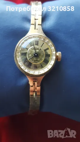 Чайка, снимка 1