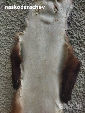 Професионално обработена от майстор кожар кожа от белка, бялка, снимка 13 - Декорация за дома - 43792723