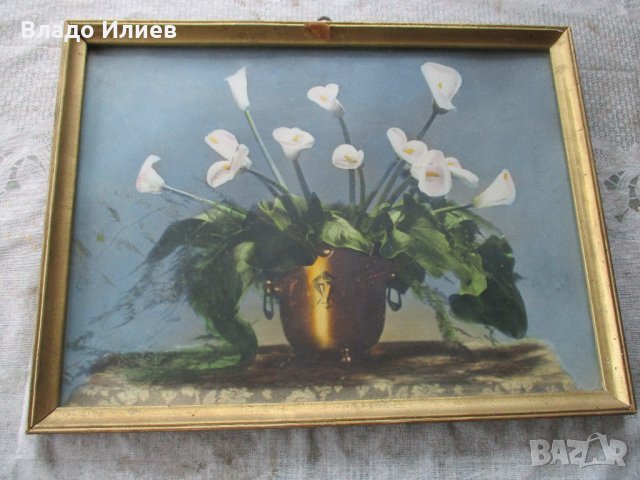 Картини разнообразни, снимка 3 - Картини - 32665722