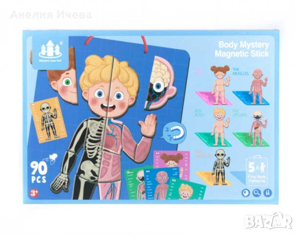 Магнитна дъска с човешкото тяло