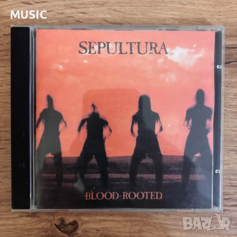 Дискове с музика, снимка 5 - CD дискове - 52906032