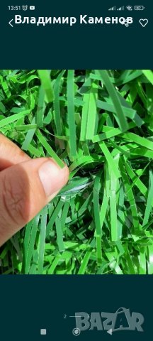 Жива Плет - Декоративна мрежа , снимка 2 - Огради и мрежи - 43821999