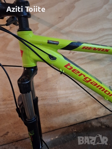 bergamont revox 6-29 inch