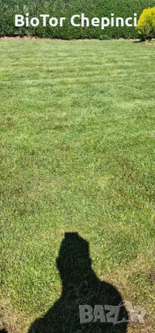 🌿Наторяване на трева с тор от Калифорнийски червей, снимка 5 - Тор и почвени смеси - 49967903