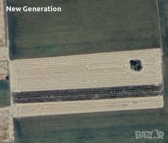 Продавам овощна градина - Кайсии - 10 декара , Кат 3-та - с.Чернолик