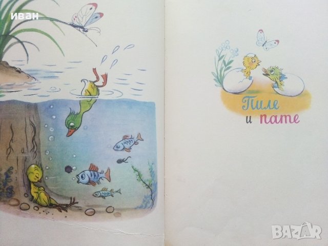 Приказки и картинки - В.Сутеев - 1976г. , снимка 6 - Детски книжки - 43089516