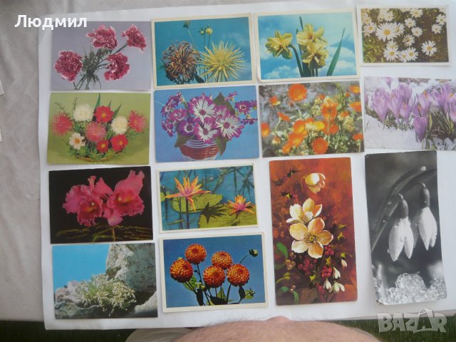 Пощенски картички с цветя и животни., снимка 1