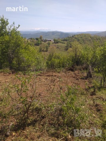 Почистване на пасища, снимка 9 - Селскостопанска техника - 39630131