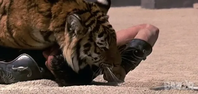 Гладиатор /2000/ и Гладиатор II /2024/, снимка 6 - Екшън - 48167363