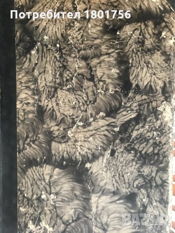 Етимологически и правописенъ речникъ на българския книжовенъ езикъ - Стефан Младенов, снимка 9 - Специализирана литература - 28605744