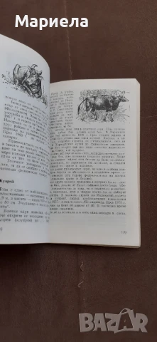 Чудеса на природата , снимка 6 - Енциклопедии, справочници - 50879287