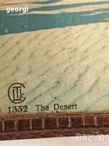 стара картина арт принт бербер с камила  22/6, снимка 2 - Картини - 49251878