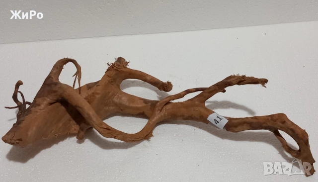 Корен от Азалия /декорация/ 41