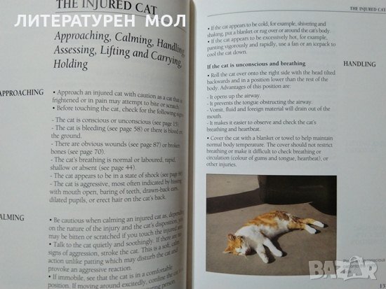 First Aid for Cats: The Essential Quick-Reference Guide. TIM HAWCROFT 1994 г., снимка 2 - Други - 27804370