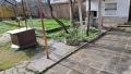 Къща с голям двор с.Ветрен, снимка 17