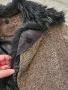Късо вълнено зимно яке палто само с изкуствена яка , снимка 9
