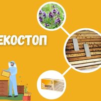 Екостоп Био блокчета с тимол и ментово масло за борба срещу вароатоза, снимка 1 - За пчели - 24930799