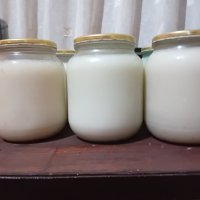 Продавам свинскa мас, снимка 1 - Домашни продукти - 43289701