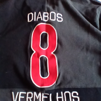 Банфика DIABOS VERMELHOS оригинална футболна тениска NIKE фланелка за футбол с номер 8, снимка 3 - Футбол - 36545418