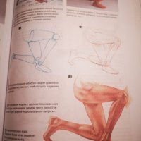 Нова! Работа с натура книга за рисуване на голо човешко тяло на руски, снимка 5 - Специализирана литература - 43250713
