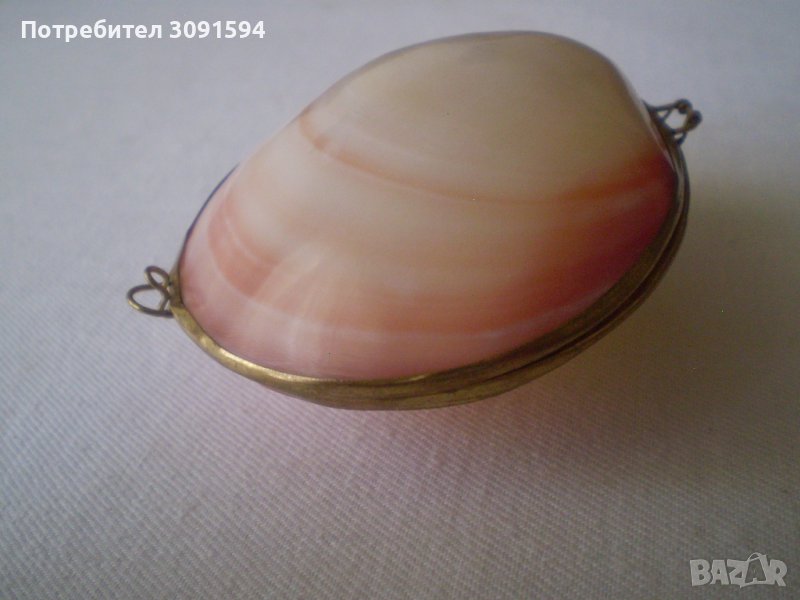 кутия за бижута мида, снимка 1