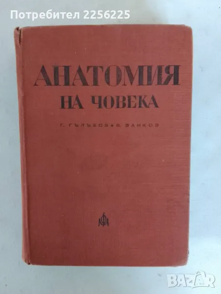 Анатомия на човека, снимка 1