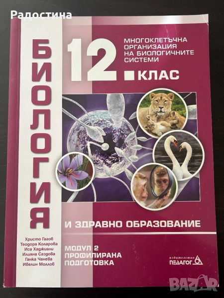 Чисто НОВИ учебници за 12 клас и сборник за пробни матури, снимка 1