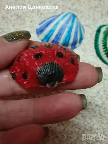 Ръчно рисувани миди , снимка 1