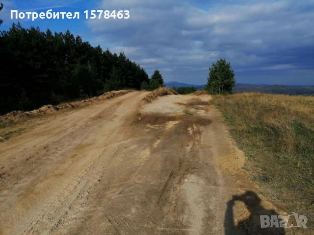 Продавам 120 декара-гори, снимка 7 - Земеделска земя - 52658500