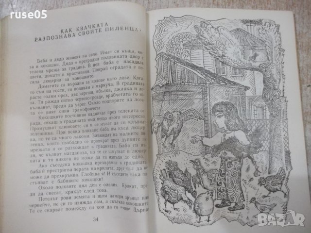 Книга "Къде свършва небето - Василка Хинкова" - 136 стр., снимка 4 - Детски книжки - 27144722