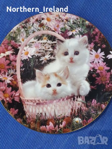 Колекционерски чинии за стена с котки , снимка 13 - Декорация за дома - 39749553