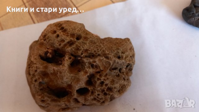 Трилобит Trilobita - изкопаеми 3.5 - 2 см, снимка 7 - Колекции - 44081054