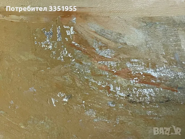 Илия Банков маслени Бои, снимка 14 - Картини - 47389700