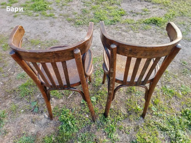 Стар виенски стол,столове, снимка 3 - Столове - 49031563