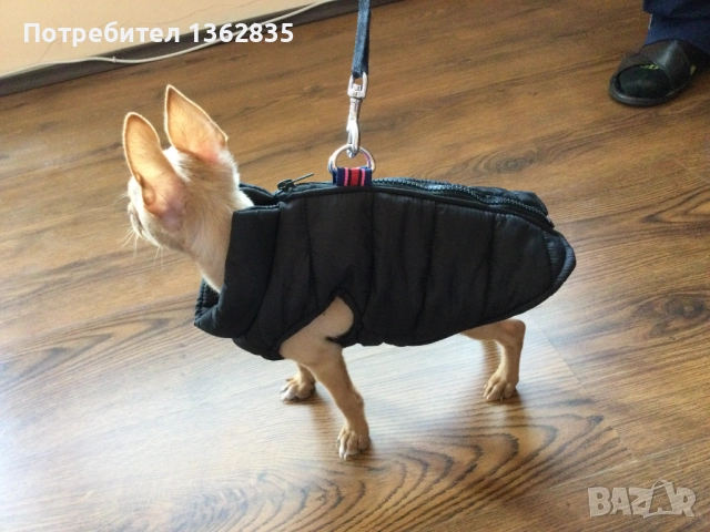 НОВ топъл черен зимен елек за куче от Италия S, M и L размер, снимка 5 - За кучета - 51928934