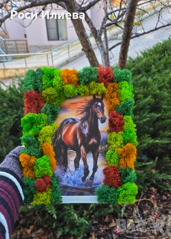 Цветна картина "Кон" декорирана със скандинавски мъх, снимка 3 - Картини - 53272093