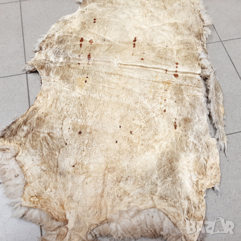 Стара овча кожа, естествена(17.5), снимка 7 - Антикварни и старинни предмети - 44891363