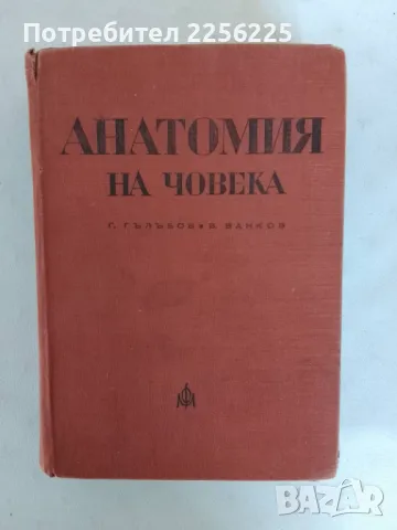 Анатомия на човека