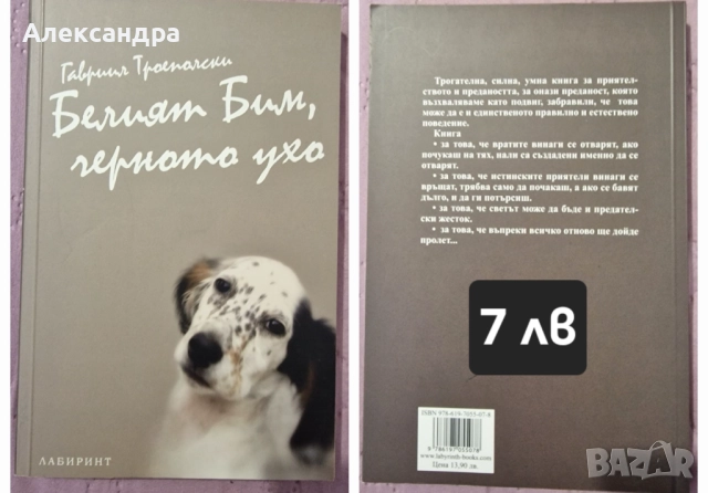 Книги - нова художествена литература, снимка 15 - Художествена литература - 52283843